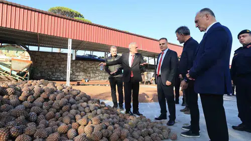 Muğla ekonomisinin gizli kahramanları Vali Akbıyık'ı ağırladı: Çam fıstığında hedef verimi artırmak