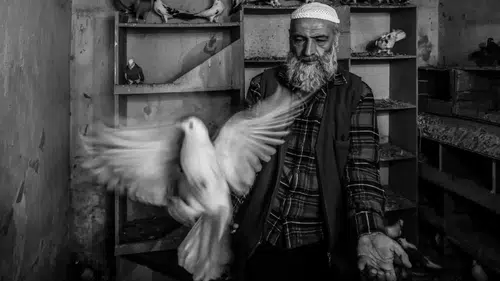 Objektifini Ara Güler’in mirasına çevirdi: Manisalı fotoğrafçıdan büyük başarı