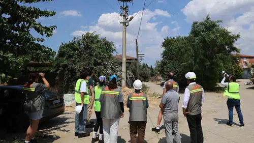 Göç yollarında elektrikli önlem dönemi: Ege'de kuşlar için yeni rota