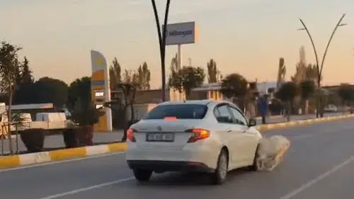Akhisar yolunda acı kaza: Sürü aniden yola fırladı