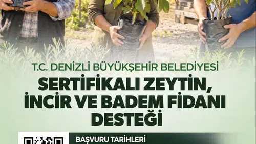 Denizli'de tarımsal kalkınma hamlesi: Üreticiye sertifikalı fidan desteği müjdesi