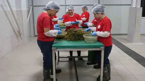 Efeler'in mutfağından dünyaya açılan lezzet kapısı: Ürün gamı 63 çeşide çıktı
