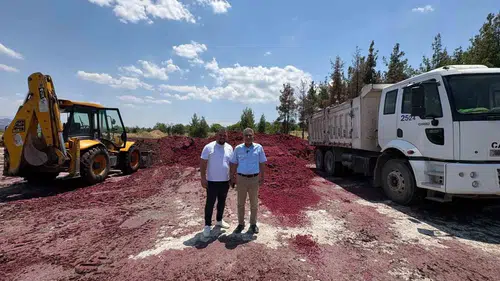 Çal'da besicinin yüzü gülüyor: Yerel yönetimden dev yem desteği