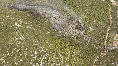 Bodrum'un ciğerleri yanmaktan son anda kurtuldu: Alevlere havadan ve karadan dev operasyon