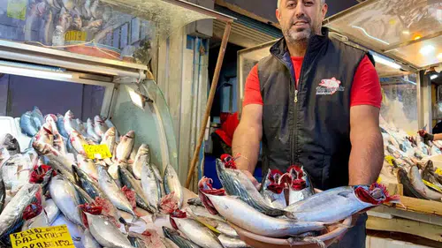 İzmir sofralarında palamut bayramı: Fiyatlar 20 yılın dibini gördü