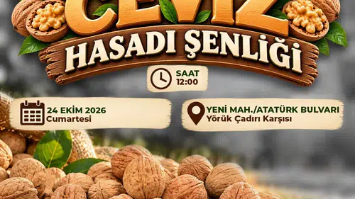 Çameli’de hasat vakti: Ceviz üreticisi festivalle taçlanıyor