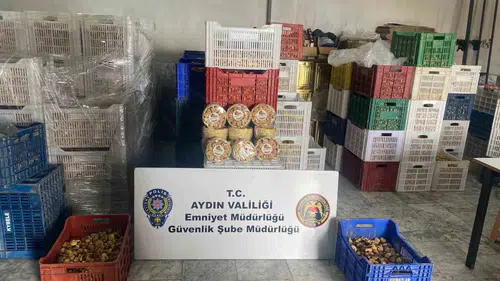 Aydın'da kaçak ürün operasyonu: Milyonluk vurguna geçit verilmedi