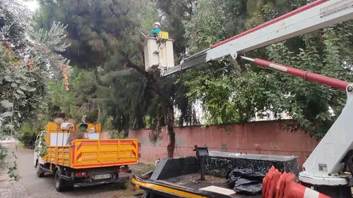Efeler’de fırtına öncesi önlem: Ağaçlar güvenli hale getiriliyor