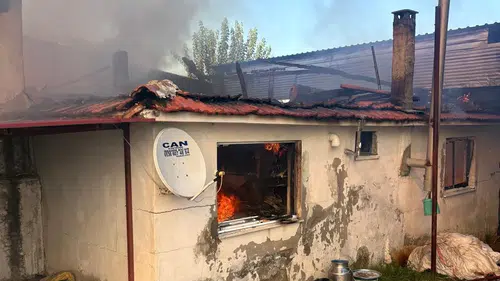 Karacasu'da alevler dehşet saçtı: Ev ve hayvan damı küle döndü