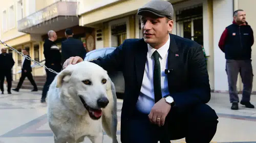 Bornova Belediyesi: Ege Üniversitesi'ndeki 83 köpek belediye yerleşkesine alındı