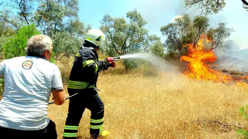 Muğla için kritik uyarı: Termometreler yükselecek, ormanlar için alarm verildi
