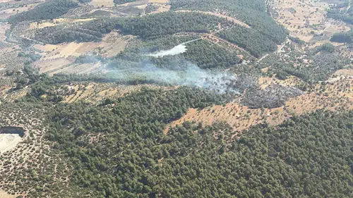 Milas'ta alevler paniğe yol açtı: Ekiplerin zamanla yarışı sonuç verdi