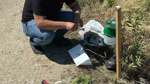 Köşk’te pamuk üreticisine teknolojik kalkan: Zararlılarla mücadele başladı
