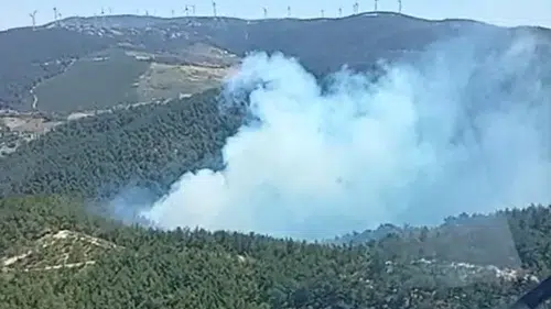 Soma ormanlarında korkutan dumanlar: Ekipler seferber oldu
