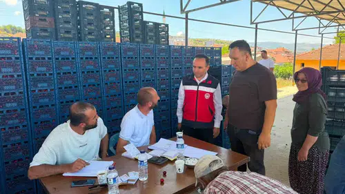 Simav’da kiraz mesaisi: Üreticinin derdi yerinde dinlendi