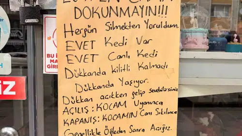 Afyonkarahisar’da vitrin krizi: Kedi meraklılarına mizahi çözüm