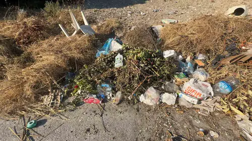 Mordoğan’da çöp krizi büyüyor: Mahalleli yaban domuzu tehlikesine karşı ayakta