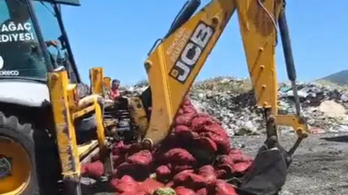 Manisa otoyolunda şüpheli sevkiyat: 4 ton midye imha edildi