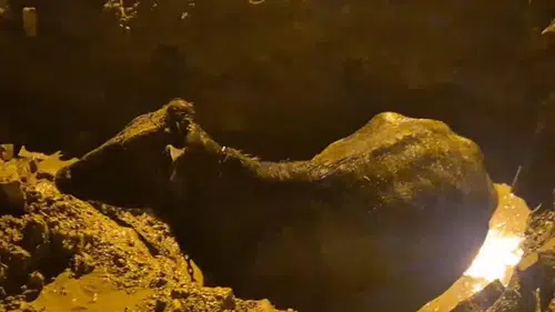 İhsaniye’de yürekleri ağza getiren olay: Kuyuya düşen inek için seferberlik