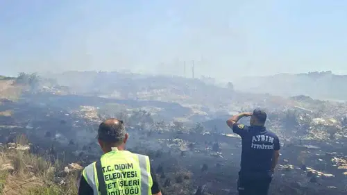 Didim'de yangın alarmı: Belediye ekipleri alevlere su tankeriyle müdahale etti