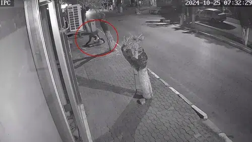 Kemalpaşa'daki dehşet davasında flaş gelişme: Tahliye edilen saldırgan için yeniden yakalama kararı