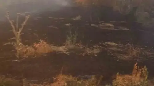 Şuhut’ta alevler ormana ulaşmadan durduruldu: Ekiplerin zamanla yarışı sonuç verdi