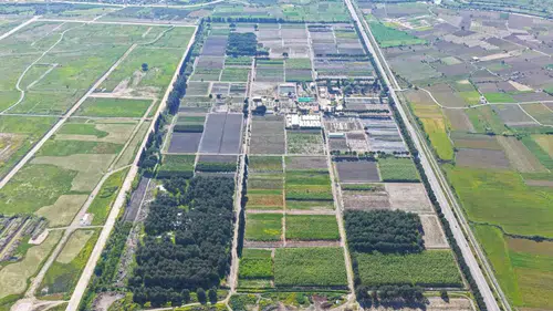 Yeşil vatanın fidanları Manisa’da hayat buluyor: Bölge müdüründen yerinde inceleme