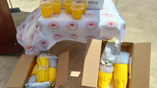 Aydınlı üreticinin meyve bahçelerinde biyoteknik seferberlik