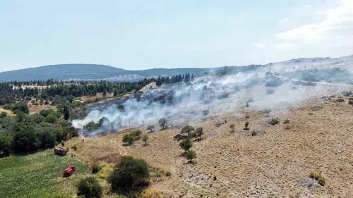 Menteşe'de alevler zeytinlikleri küle çevirdi: Ekipler seferber oldu