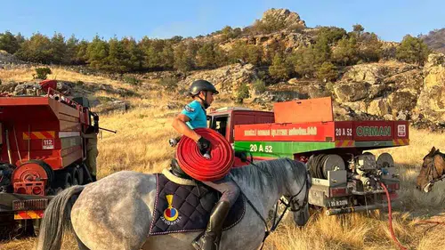 Pamukkale'deki orman yangınında atlı jandarmadan kritik lojistik destek