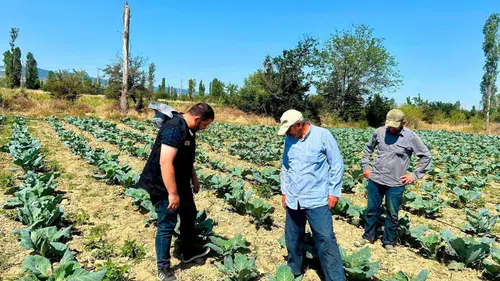 Afyonkarahisar’da tarım seferberliği: Üreticinin tarlasına uzman eli değdi