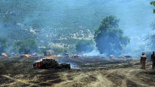 Menteşe'de hasat sonrası kabus: Rüzgarın körüklediği alevler tonlarca samanı küle çevirdi