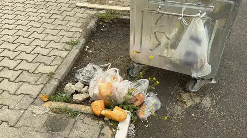 Bolvadin'de vicdan sızlatan görüntüler: Çöp konteynerleri boş ama sokaklar atık dolu