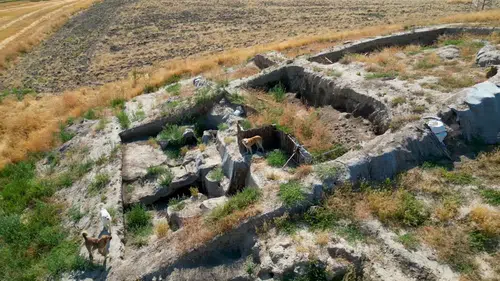 Tarihin kalbi sessizliğe gömüldü: Puruşhanda umudu yerini otlara ve sokak hayvanlarına bıraktı