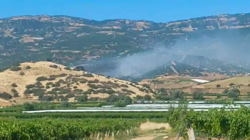 Manisa Sarıgöl'de ormanlık alanda korkutan yangın: Ekipler teyakkuza geçti
