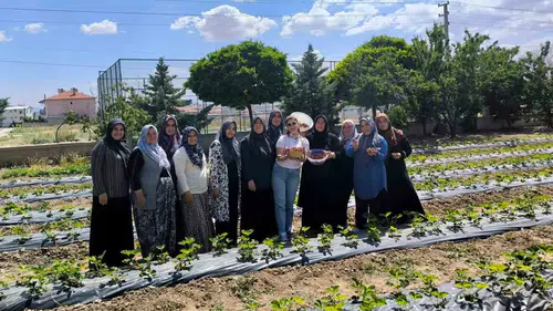 İscehisar’da toprak bereketlendi: ADEM projesiyle ilk ürünler toplandı