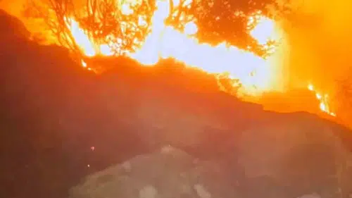 Muğla ormanlarında alarm: Ekipler iki ayrı noktada alevlere karşı savaşıyor