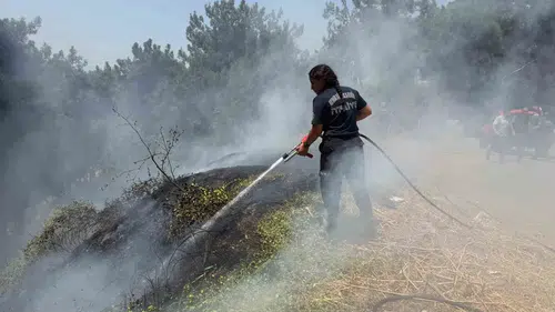 Aydın'da yangın mesaisi: İtfaiye ekipleri bir haftada yüzlerce noktaya yetişti