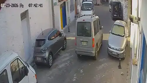 Menteşe’de vicdansızlık kamerada: İki kediyi ezip hiçbir şey olmamış gibi gitti
