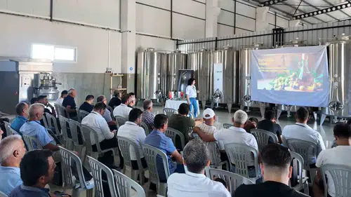 Zeytinyağında kaliteyi teknolojiyle buluşturdular: 200 uzmana özel eğitim