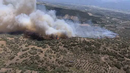Aydın’da yangın paniği bitmiyor: Meteoroloji’den kritik rüzgar uyarısı