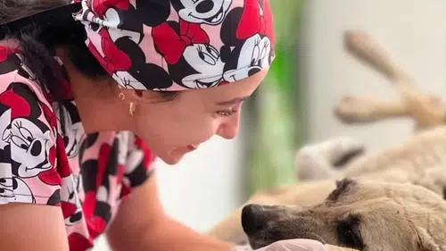 Ölümden döndü: Sarıgöl'de yaralı köpeğe belediye şefkati