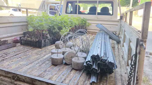 Dinar’da tarımsal kalkınma hamlesi: Üreticiye bağcılık desteği