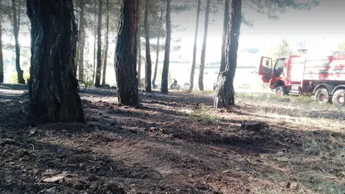 Tavşanlı'da ormanlık alanda korkutan dumanlar: Ekipler felaketi önledi