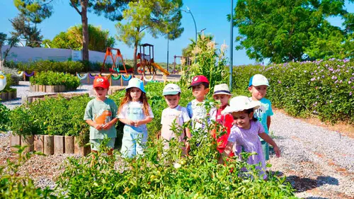 Didim’de minik eller toprağa hayat verdi: Hasat heyecanı yaşandı
