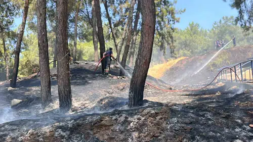 Aytepe'de korkutan yangın: Ekipler felaketi önledi
