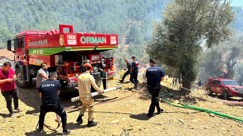 Bodrum'da alevlere karşı seferberlik: 16 yangında kritik müdahale