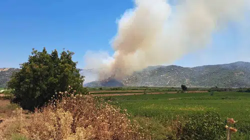 Söke'de alevlerle zorlu mücadele: Ekipler Yağbasan'da teyakkuza geçti