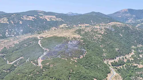 Kuyucak ormanlarında korkutan yangın: Ekiplerin hızlı müdahalesi faciayı önledi