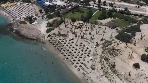 Çeşme'de ezber bozan tesis: Akademik tezini plajda gerçeğe dönüştürdü
